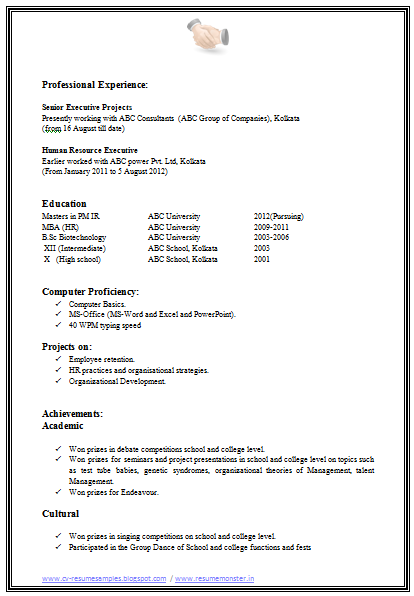 Executive resume book